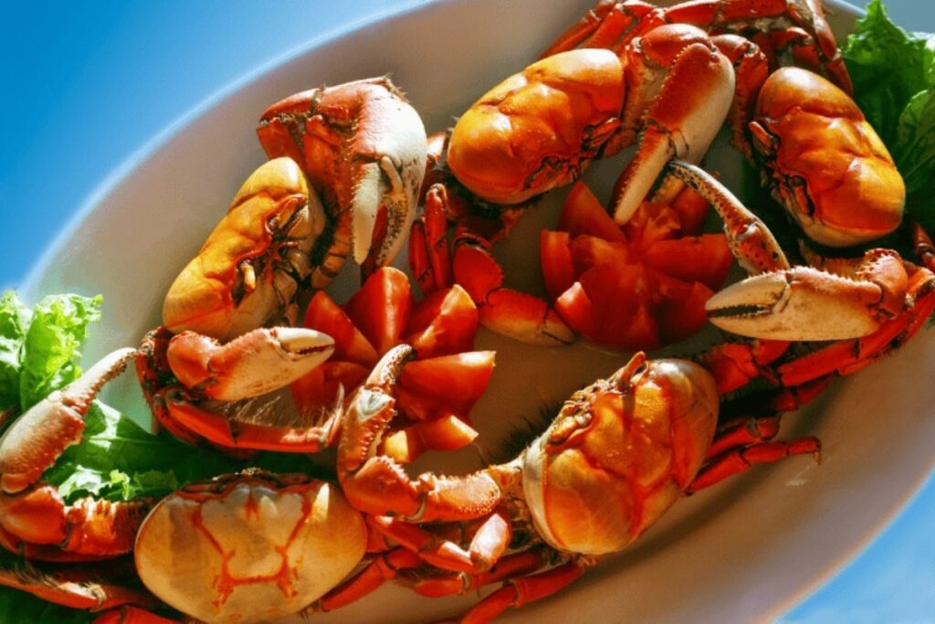 Cruzeiro de Alto Padrão-Uma Experiência Inesquecível para Viajantes Exigentes