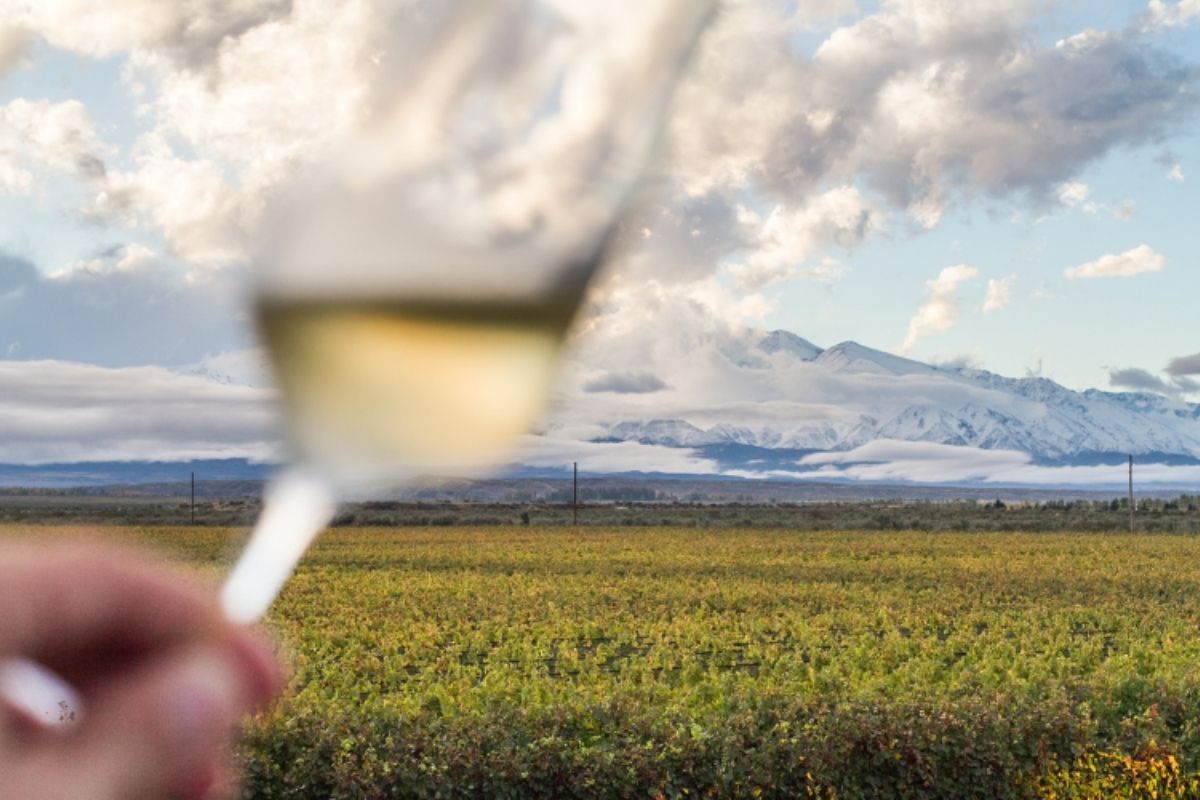 Dicas para aproveitar ao máximo sua viagem para Mendonza