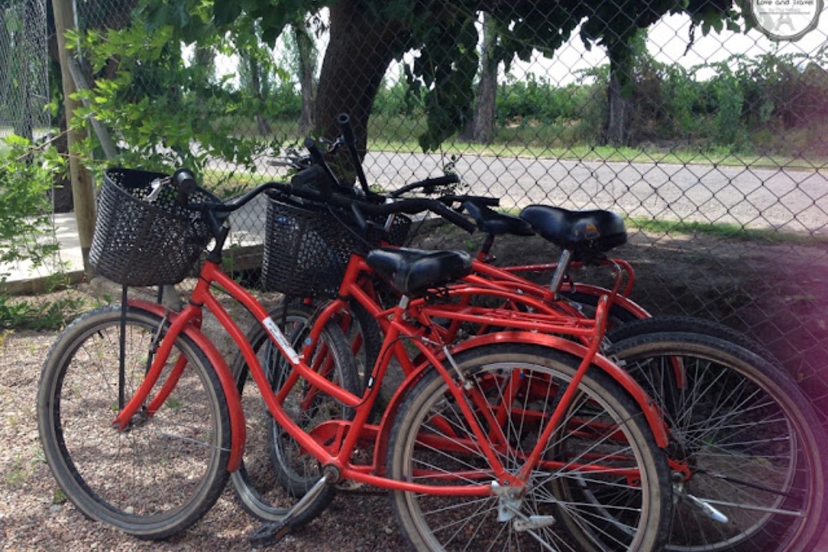 Dicas para aproveitar ao máximo sua viagem para Mendonza