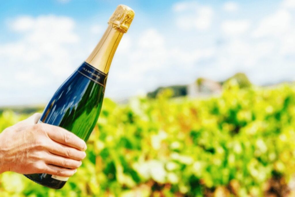 Explore as curiosidades da gastronomia francesa-sabores, história e tradições