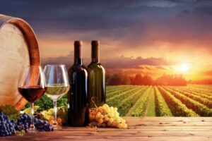 Uma Viagem Requintada de Vinhos no Chile - Descubra as Melhores Vinícolas e Destinos