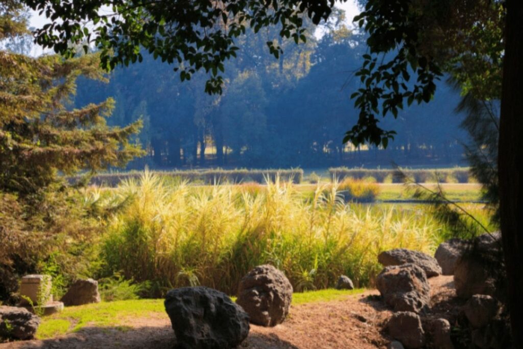 Uma Viagem Requintada de Vinhos no Chile - Descubra as Melhores Vinícolas e Destinos