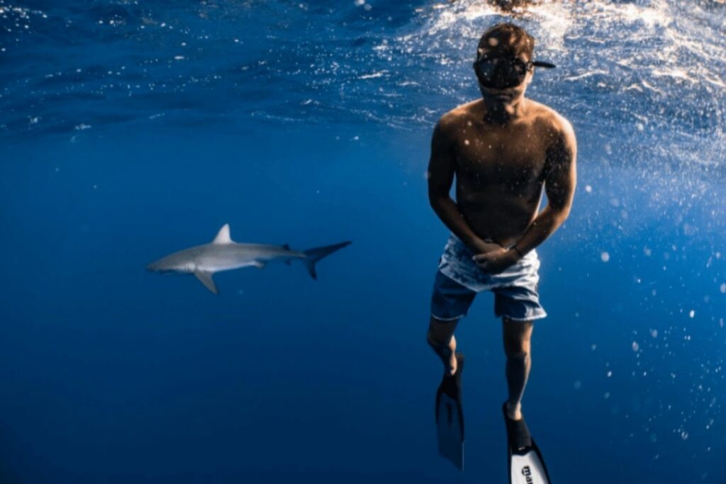 3 Experiências Exóticas de Viagem
