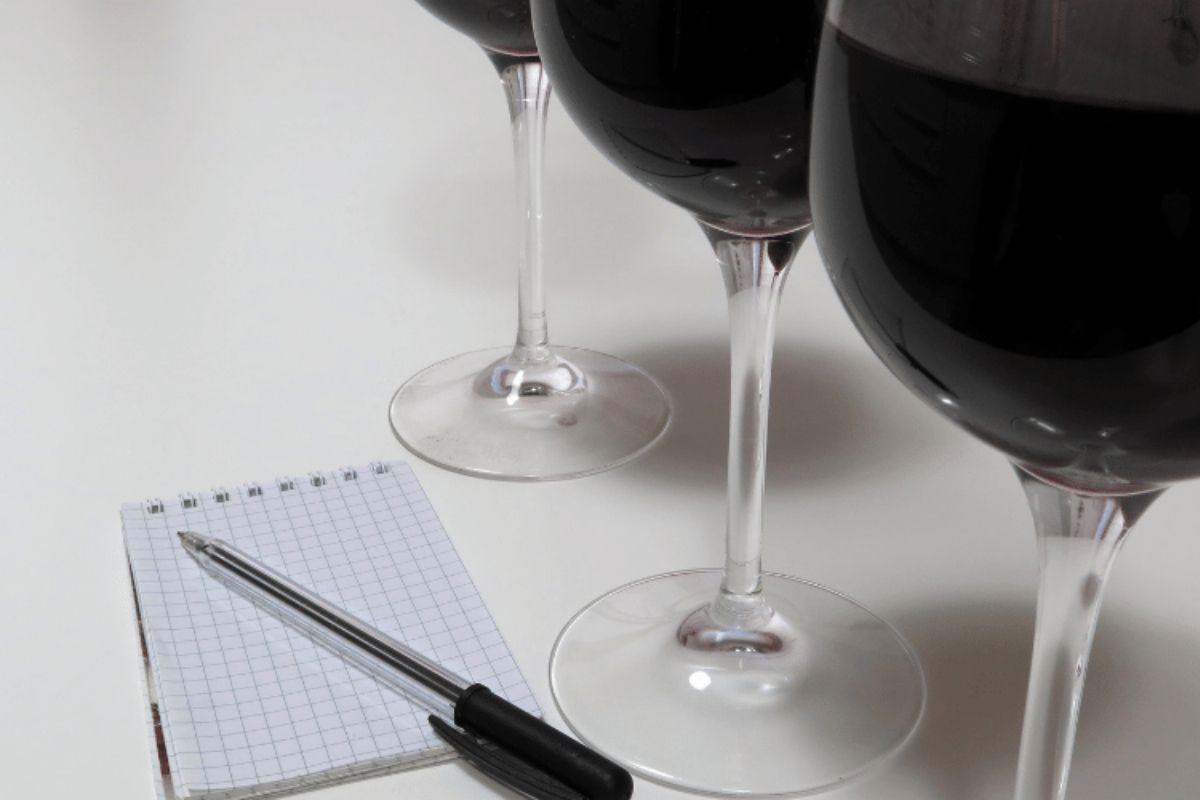 O que esperar em um tour de degustação de vinhos