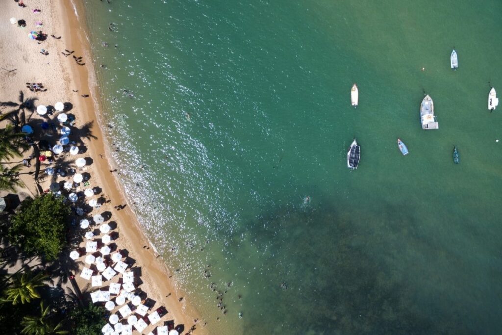 Refúgio Ecológico Praia do Forte-Um Paraíso Sustentável na Bahia