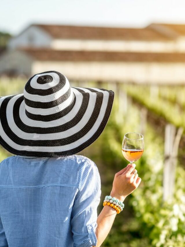 Roteiro de Viagem para Amantes do Vinho na França