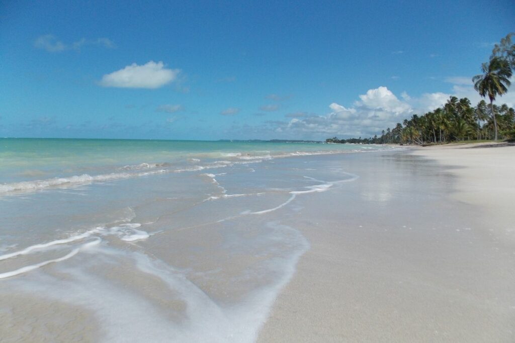 Descubra Maragogi: O Caribe Brasileiro